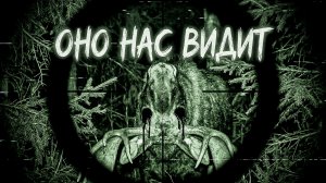 Я охотник с 20-летним стажем. Вчера я понял: в лесу есть вещи страшнее смерти | Байки с Реддит