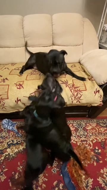 1 апреля 2026 г.