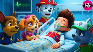 Щенячий патруль и Маршалл. Залипательное видео. Мультфильм для детей и малышей. Анимация 347