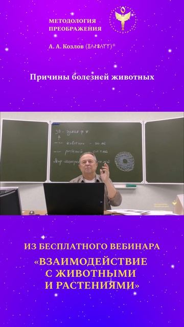 причины болезней животных 02