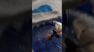 Башня скайвью (кста моё 1 видео)