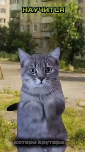 ЭТОТ МАЛЬЧИК ОБХИТРИЛ ВСЕ ОЖИДАНИЯ #рек #эракотов #котымемы #видосыоткота