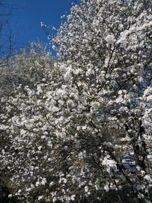 ЗАХОДИ!!БУДЕТ ВЕСЕЛО