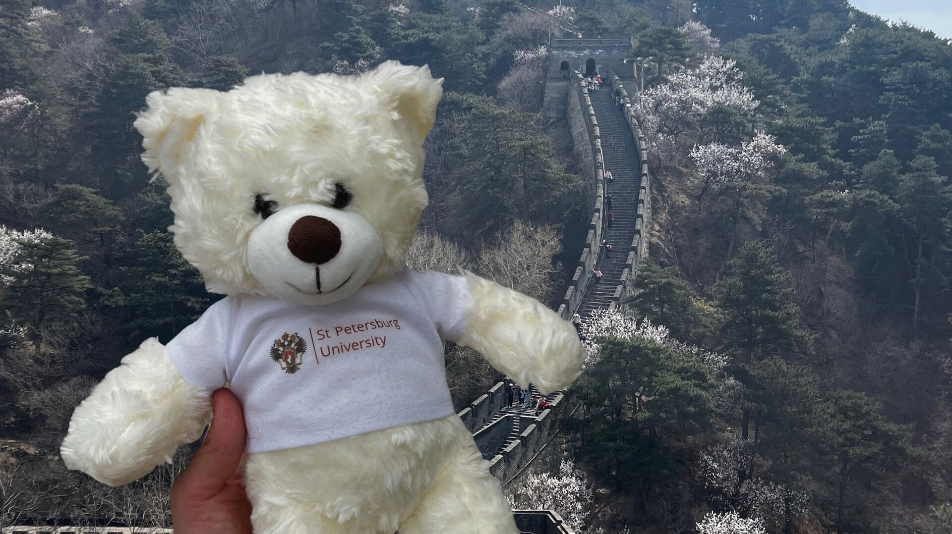 Учёба за границей для студентов СПбГУ: программа академической мобильности | Сюжет М. Маркисовой