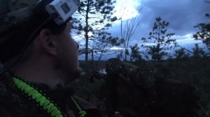 Охота на гуся на болоте. Идеальный вечер