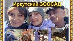 Иркутский зоосад. Поглядели на животных, часть из них покормили, часть- погладили)