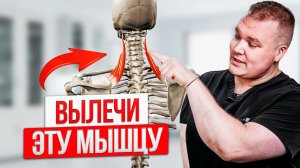 В этом ПРИЧИНА БОЛИ в шее и под лопаткой. Эти УПРАЖНЕНИЯ помогут без таблеток