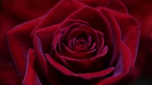 Очищение первой чакры.