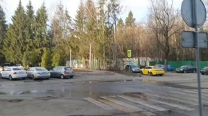 Другому коту сделали спешно прививку/Была по записи на Эхокардиографии,надо беречь нервы!