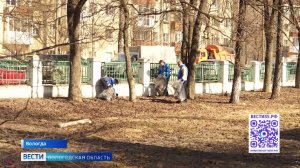 Масштабная акция по уборке улиц продолжается в Вологде
