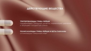Рейши-Кан форте актив