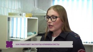 День экспертно-криминалистической службы / Большой репортаж