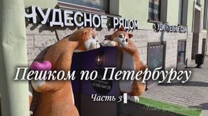 Пешком по Петербургу. Часть 3. Магазин петербургских котов на Невском