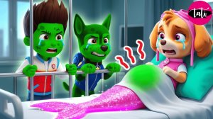 Щенячий патруль и Маршалл. Залипательное видео. Мультфильм для детей и малышей. Анимация 352