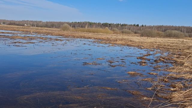 Поиск мест для весенней охоты.