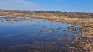 Поиск мест для весенней охоты.