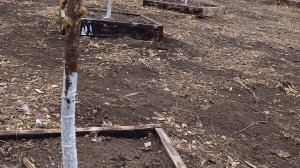 Просто один рабочий день. Саяногорск  Хакасия