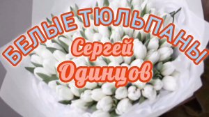 ОТ ЭТОЙ ПЕСНИ ВЫ БУДЕТЕ В ПОЛНОМ ВОСТОРГЕ. БЕЛЫЕ ТЮЛЬПАНЫ