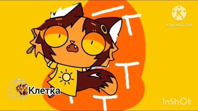 Эфир «Телеканал (Клетка)» (24.02.2026)