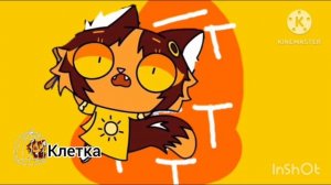 Эфир «Телеканал (Клетка)» (24.02.2026)