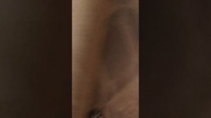 это опять я