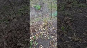 31 марта 2026 г.Мои рабочие будни...