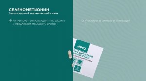 Ролик Селен органический с кофакторами