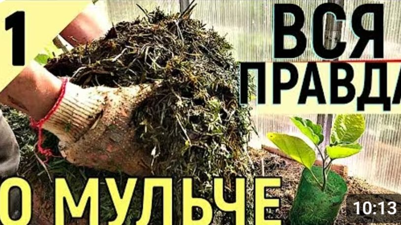 АКТИВНАЯ МУЛЬЧА  КАК ПОВЫСИТЬ ПЛОДОРОДИЕ.