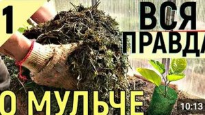 АКТИВНАЯ МУЛЬЧА  КАК ПОВЫСИТЬ ПЛОДОРОДИЕ.