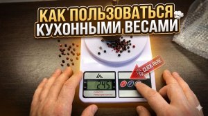 Как пользоваться кухонными весами