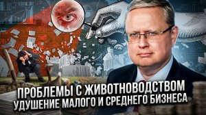 Михаил Делягин | Проблемы с животноводством. Удушение малого и среднего бизнеса