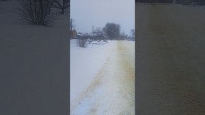 ,,Аналог мамаши-аферистки:какое семя-такое племя!".