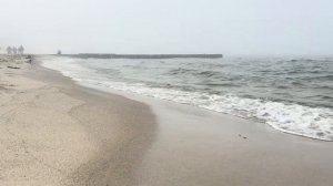 Белла чихуахуаВидео о природе, животных, и разных приключений),приятного просмотра. Подпишись