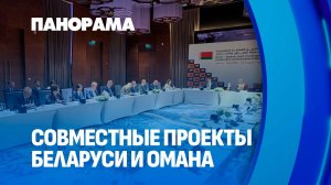 Сотрудничество Беларуси и Омана: в каком направлении развиваемся? Панорама