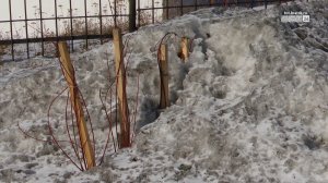 Жители 23-го микрорайона Братска добиваются восстановления cквера «Содружество»