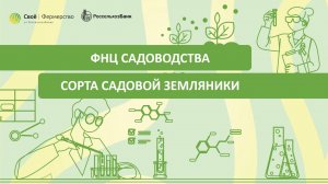 ФНЦ Садоводства: сорта садовой земляники