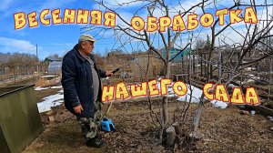 ВЕСЕННЯЯ ОБРАБОТКА НАШЕГО САДА