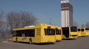 Еще 200 машин вышли на маршруты: в Ярославской области завершили обновление автобусного парка