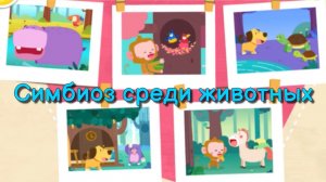 Игра "BabyBus. Симбиоз среди животных" Детская познавательная игра.