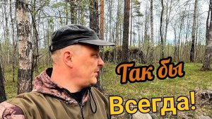 Думал по лайту, но цветнина пошла! коп металлолома