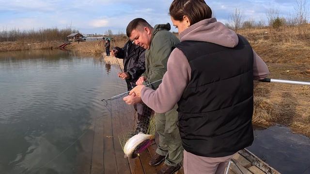 Операция по ловли форели,удаление рук из попы.