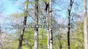 Где самое красивое место в Крыму?