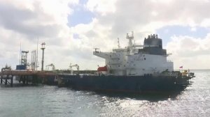 В Петербурге стартовали два форума, посвященные развитию транспорта и сотрудничеству России и Кубы.