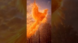 #юмор #смешное #прикольно #приколы #мемы #видеоприколы #прикол #смешныевидео #весело #ржач #смешно