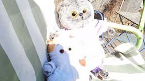 прогулка.с Басиком и Лили.🍉