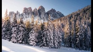 А. Грибоедов.  "Не образумлюсь...виноват..." . Монолог Чацкого (Горе от ума)