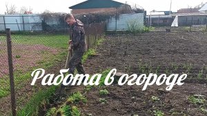 ЖИЗНЬ В СТАНИЦЕ./ РАБОТА В ОГОРОДЕ.