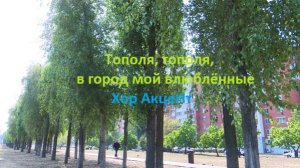Тополя, тополя, в город мой влюблённые. Хор АкцеНт