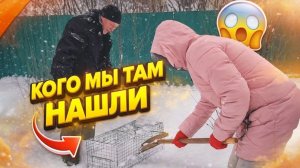 КУПИЛИ ДОМ В ДЕРЕВНЕ | Кого мы там нашли | Дом в деревне | Деревенская жизнь