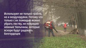 На уборку Белгорода вышли более 800 человек